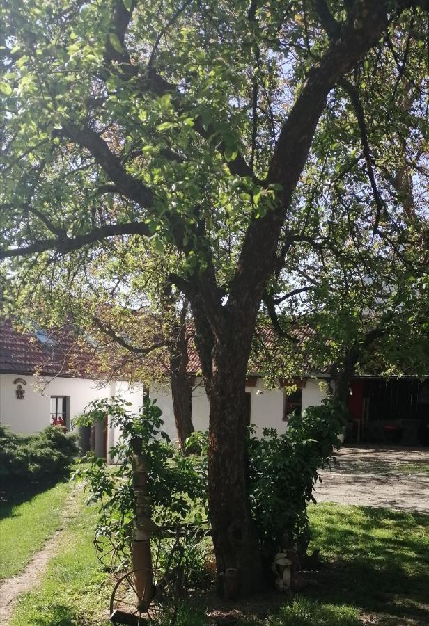 Keramicky A Vytvarny Atelier Konesin Exterior foto
